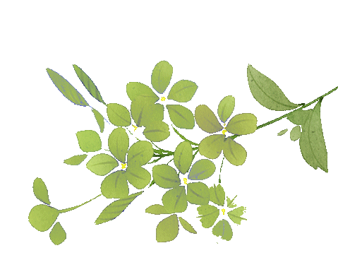 1679452067356076.gif 1.gif